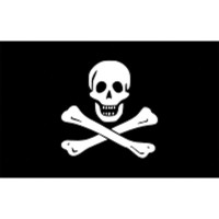 Pirate's Flag Flags and Accessories