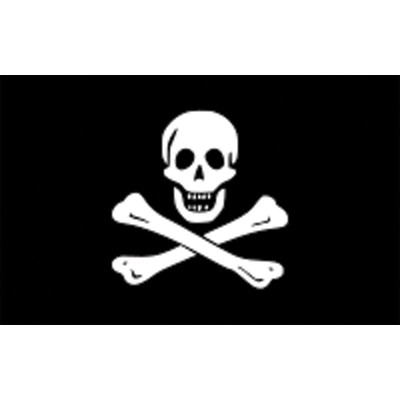 Pirate's Flag Flags and Accessories