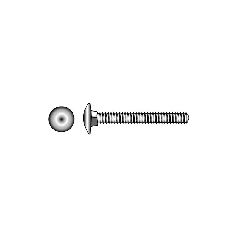Carriage bolt Inox 316 Eye Bolts, Pad Eyes, Rings and Screws