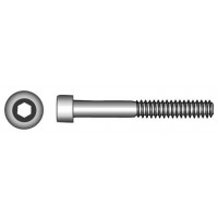 Allen screw Inox 316 Eye Bolts, Pad Eyes, Rings and Screws